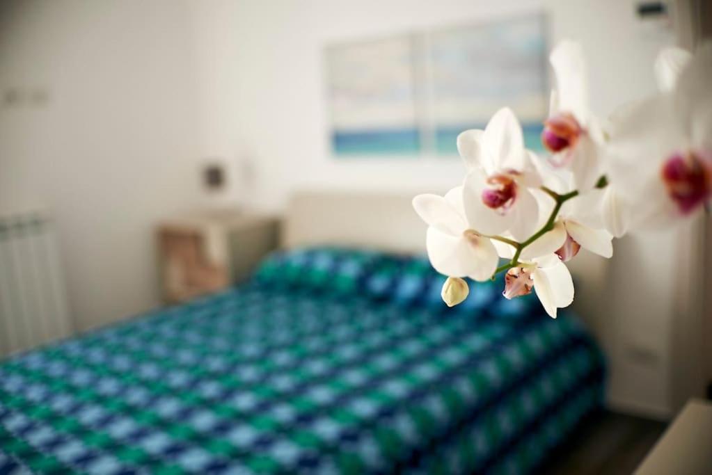 San Vito Apartament Полиньяно-а-Маре Экстерьер фото